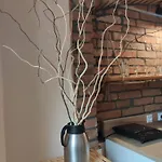 Lägenhet I Goscinne Srebrna Góra
