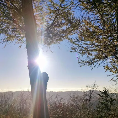 Apartament I Gościnne