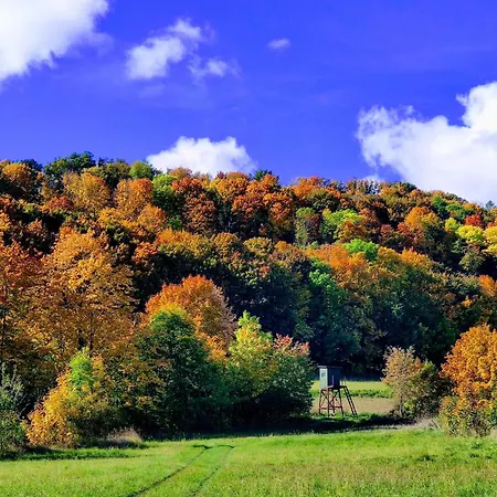 I Gościnne Srebrna Góra