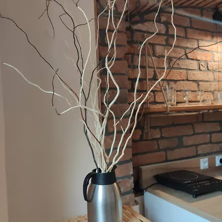 Apartament I Gościnne Srebrna Góra