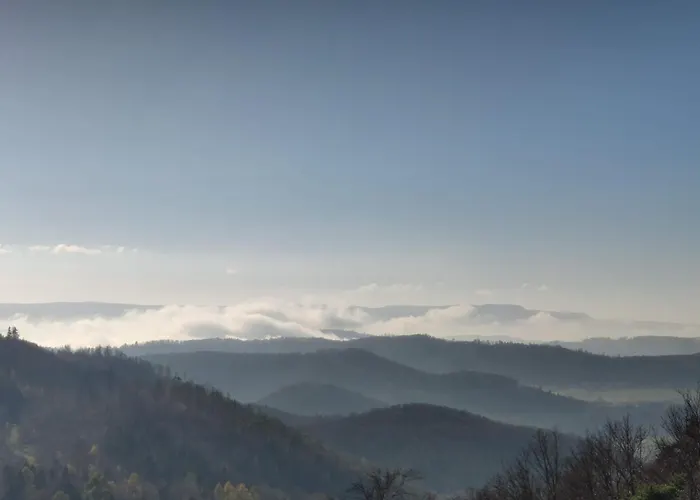 Apartamento I Goscinne *