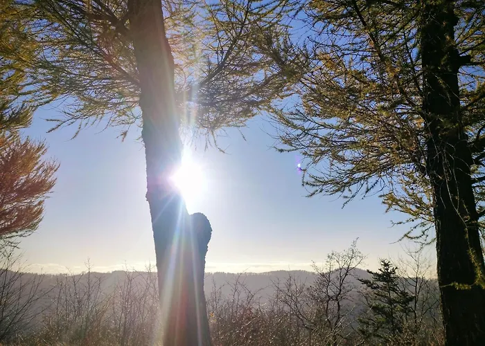 Apartment I Goscinne