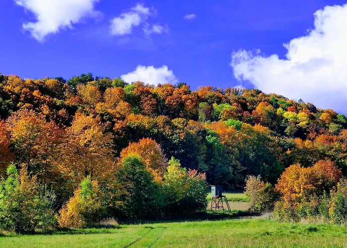I Goscinne Srebrna Góra