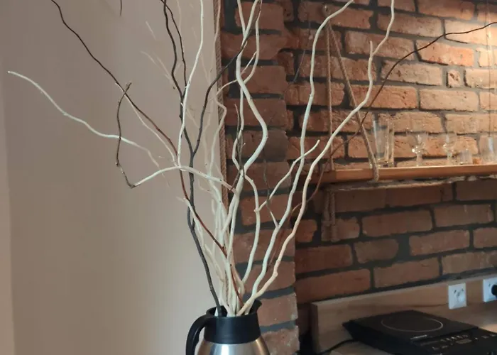 Apartment I Goscinne Srebrna Gora